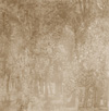 Walk I