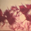 Homage to Muybridge Video