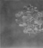 Fabric II
