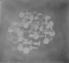 Fabric III