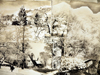 Winter Scenes detail I